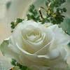 friba